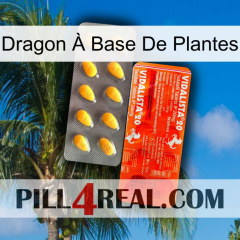 Dragon À Base De Plantes new01